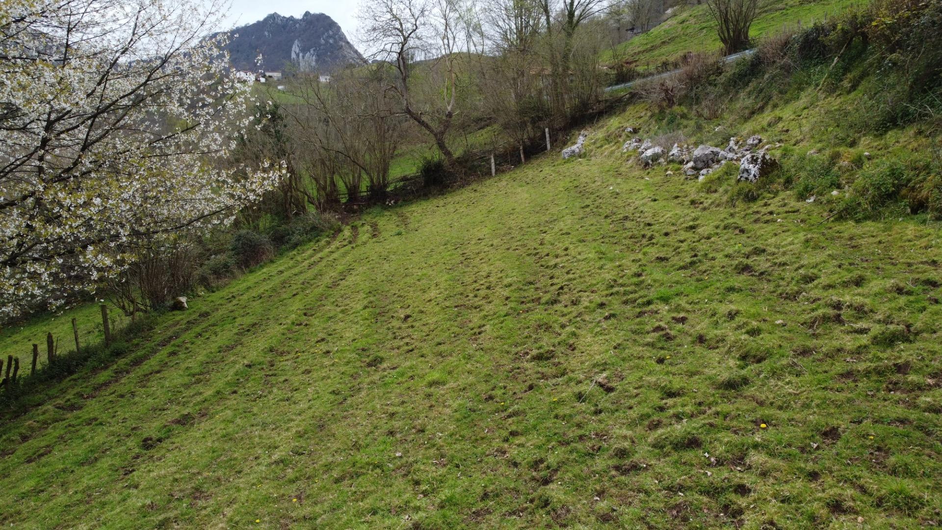 Fincas y solares-Venta-MorcÃ­n-2207740-Foto-6