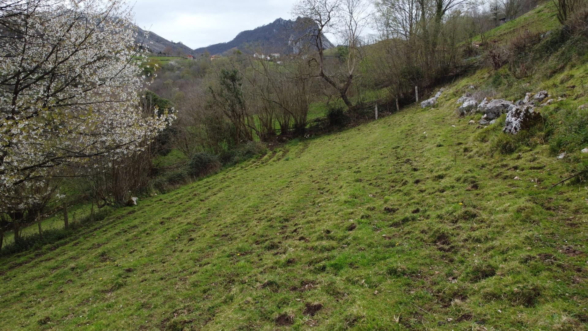 Fincas y solares-Venta-MorcÃ­n-2207740-Foto-8