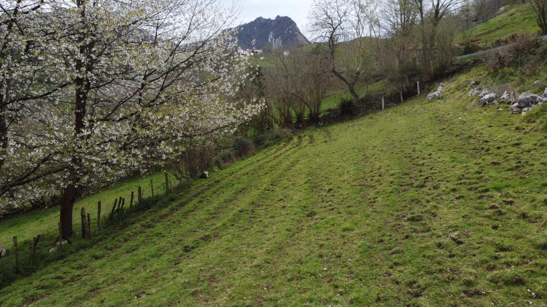 Fincas y solares-Venta-MorcÃ­n-2207740-Foto-7