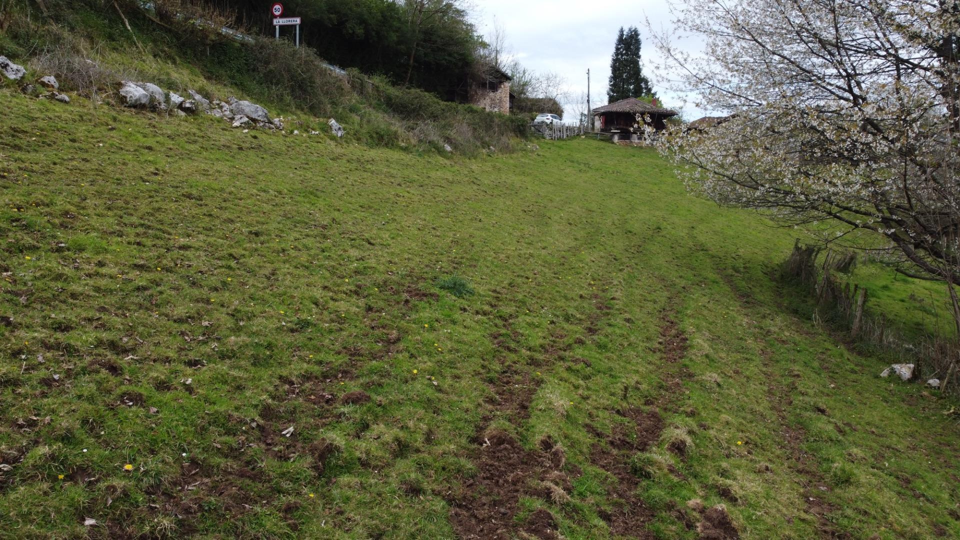 Fincas y solares-Venta-MorcÃ­n-2207740-Foto-10