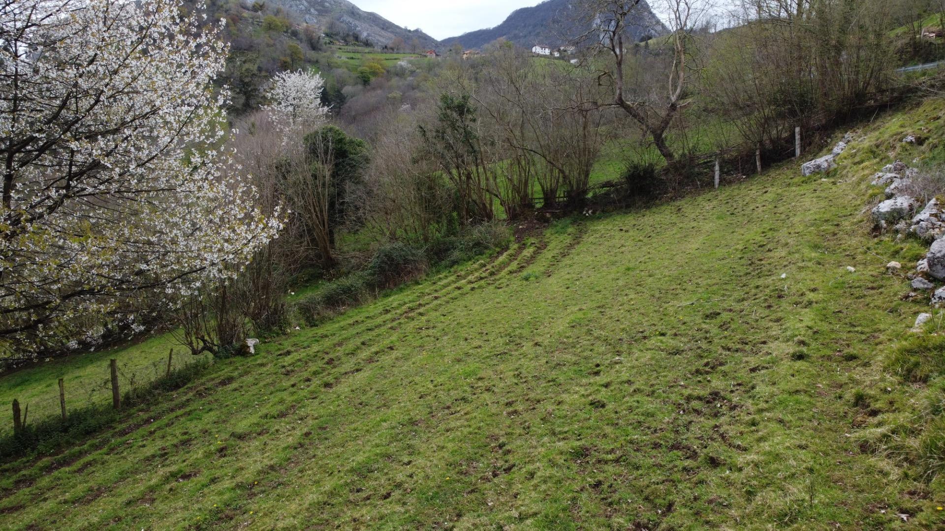 Fincas y solares-Venta-MorcÃ­n-2207740-Foto-9