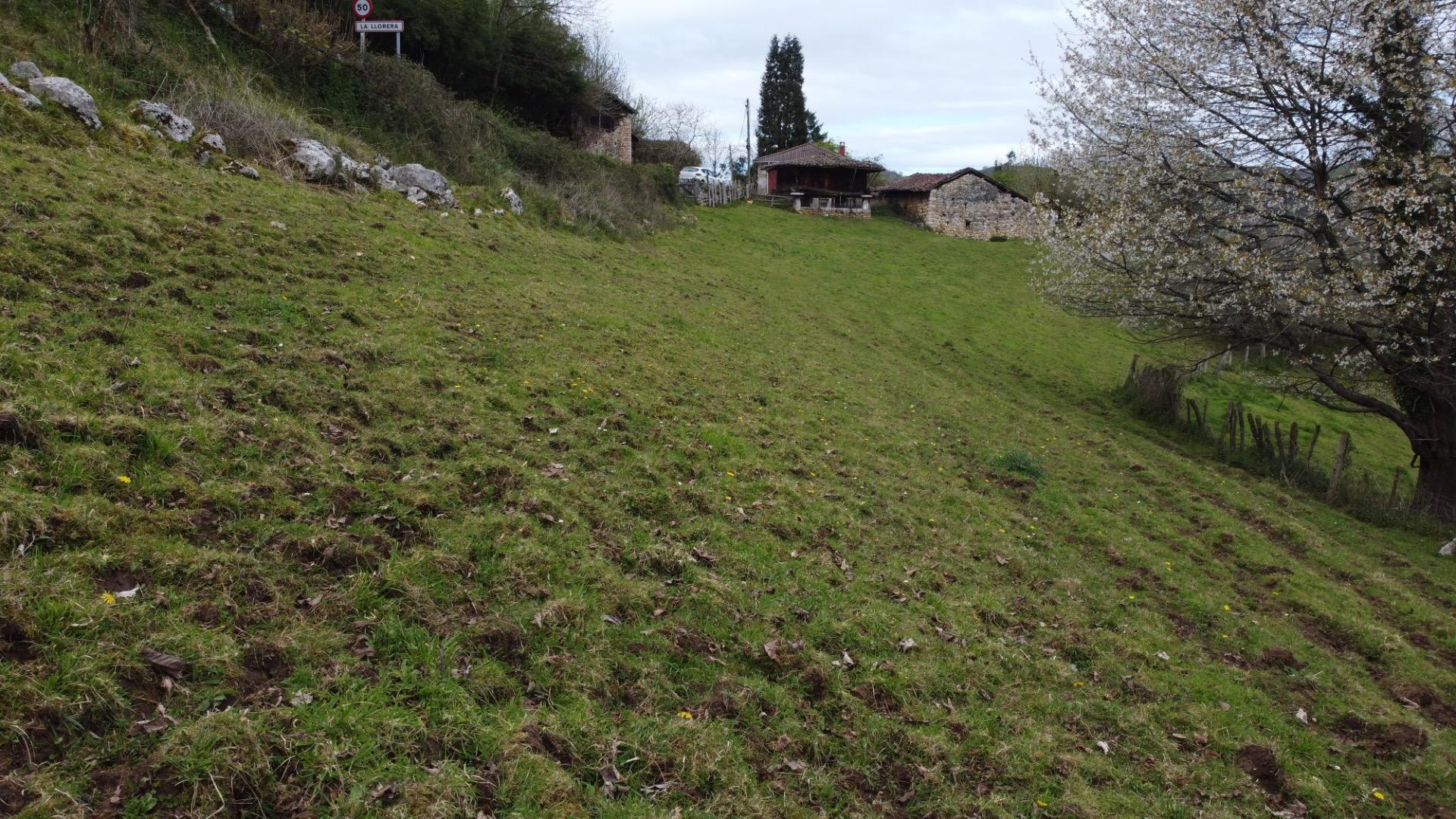 Fincas y solares-Venta-MorcÃ­n-2207740-Foto-11