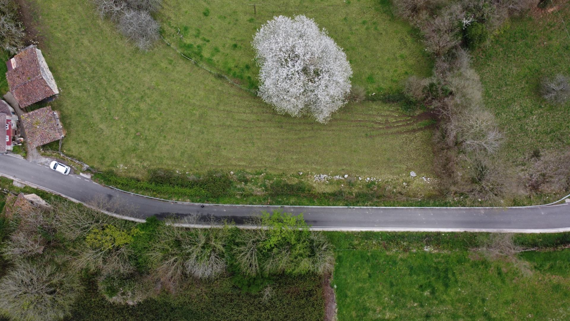 Fincas y solares-Venta-MorcÃ­n-2207740-Foto-14