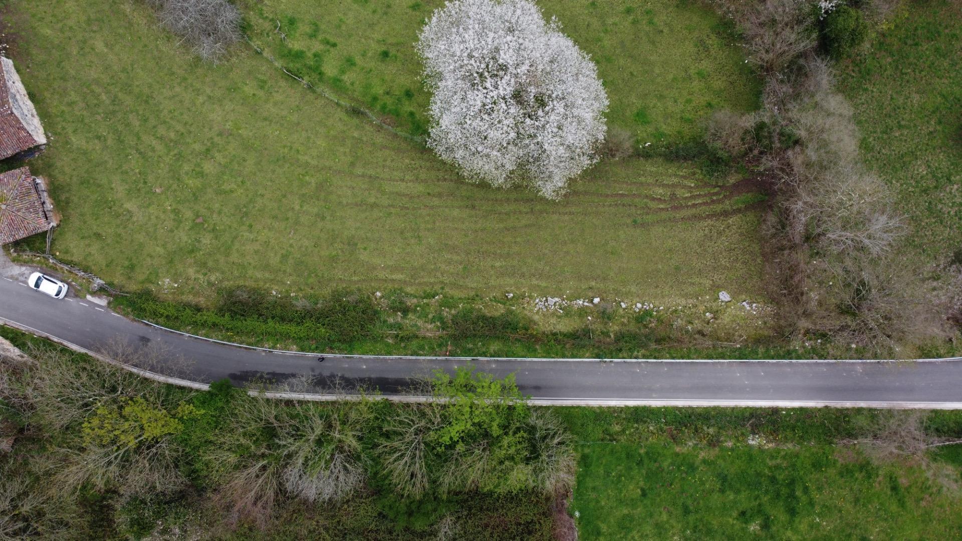 Fincas y solares-Venta-MorcÃ­n-2207740-Foto-15