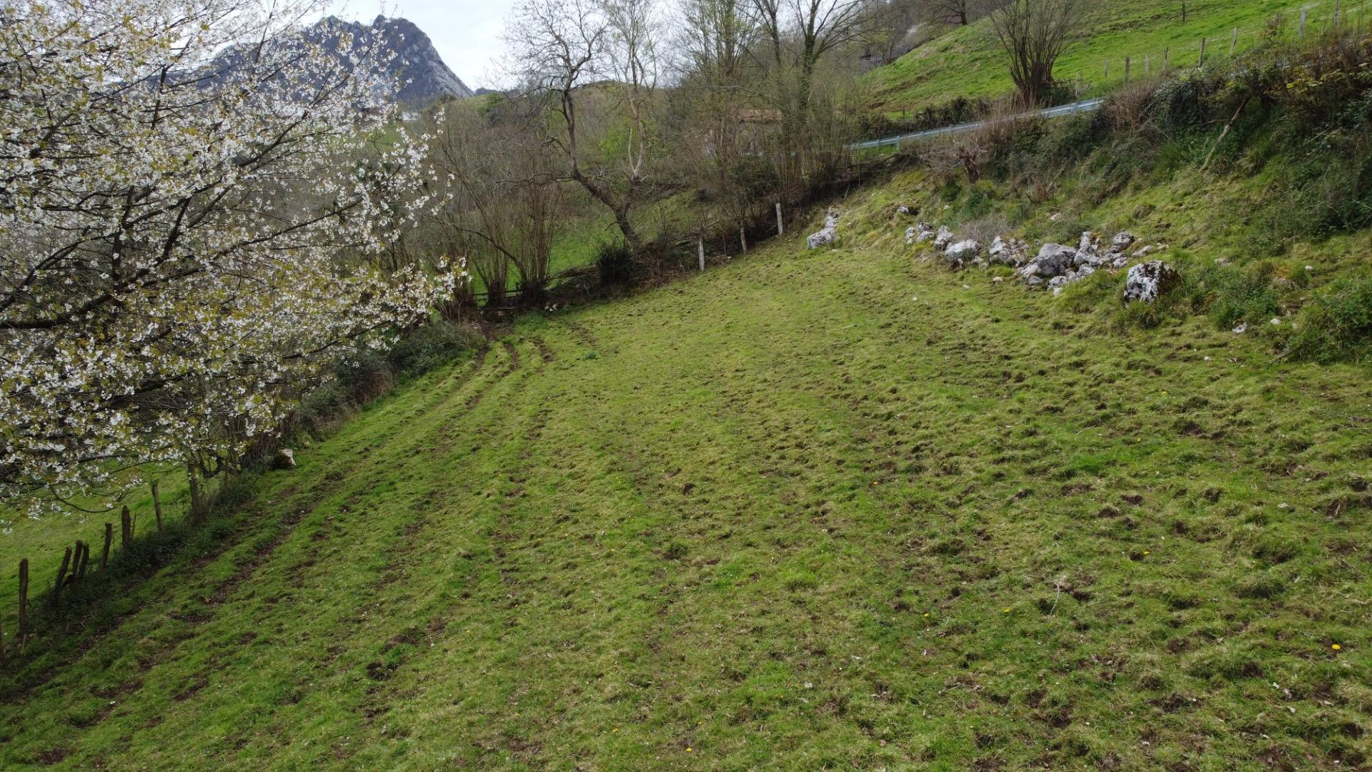 Fincas y solares-Venta-MorcÃ­n-2207740-Foto-13