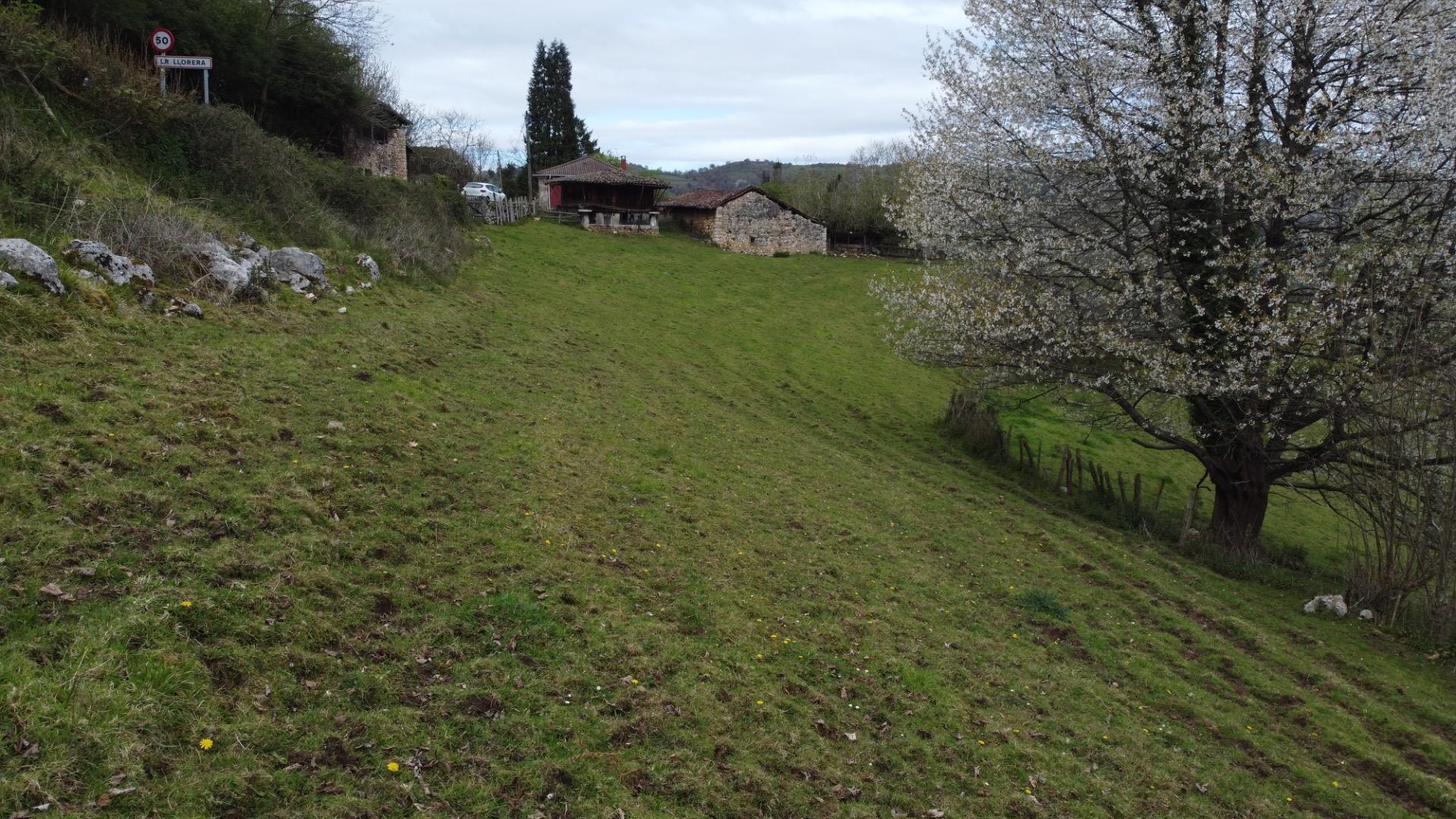 Fincas y solares-Venta-MorcÃ­n-2207740-Foto-12