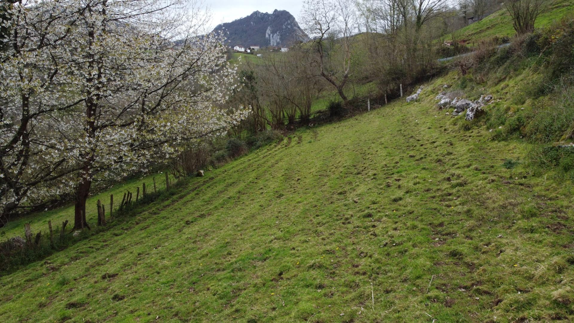 Fincas y solares-Venta-MorcÃ­n-2207740-Foto-16