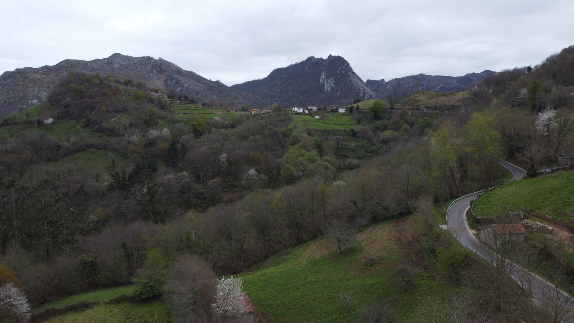 Fincas y solares-Venta-MorcÃ­n-2207740-Foto-20