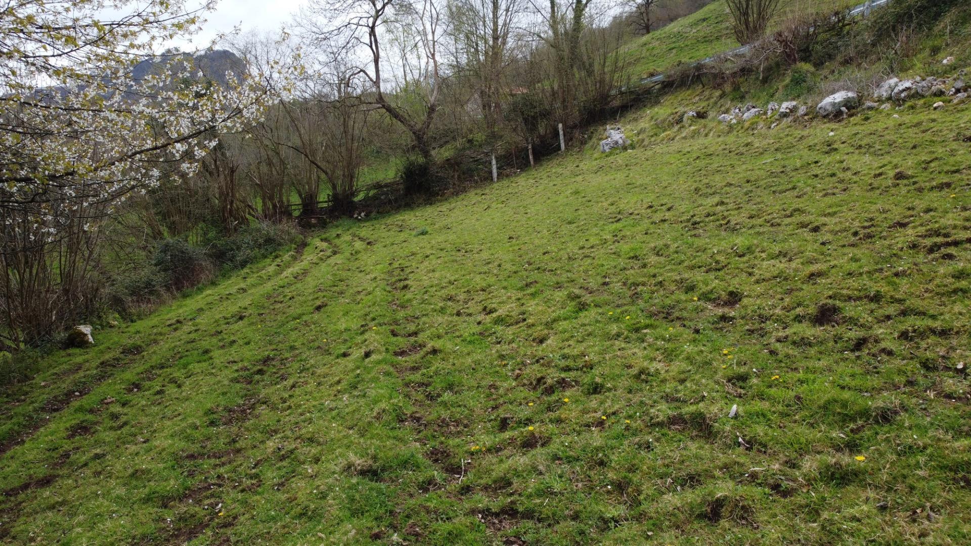 Fincas y solares-Venta-MorcÃ­n-2207740-Foto-18