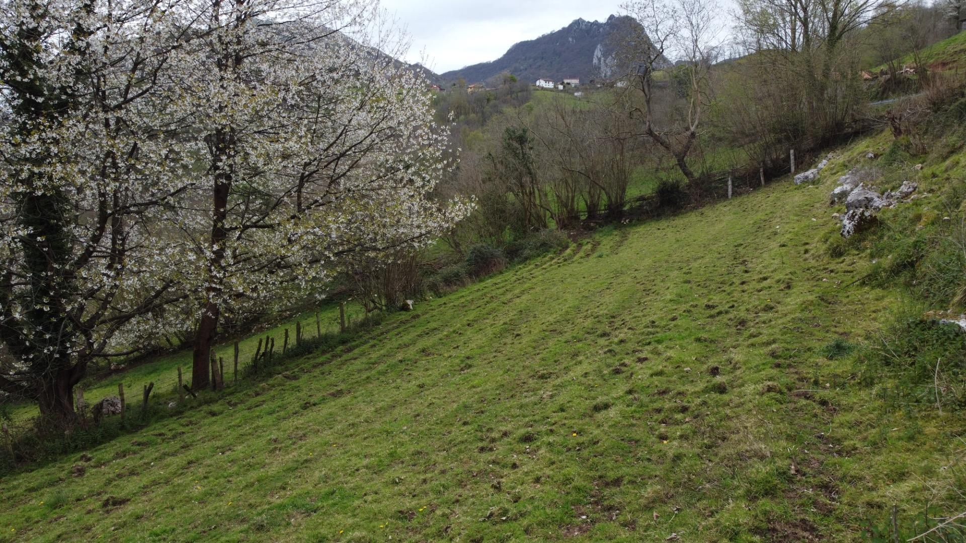 Fincas y solares-Venta-MorcÃ­n-2207740-Foto-17