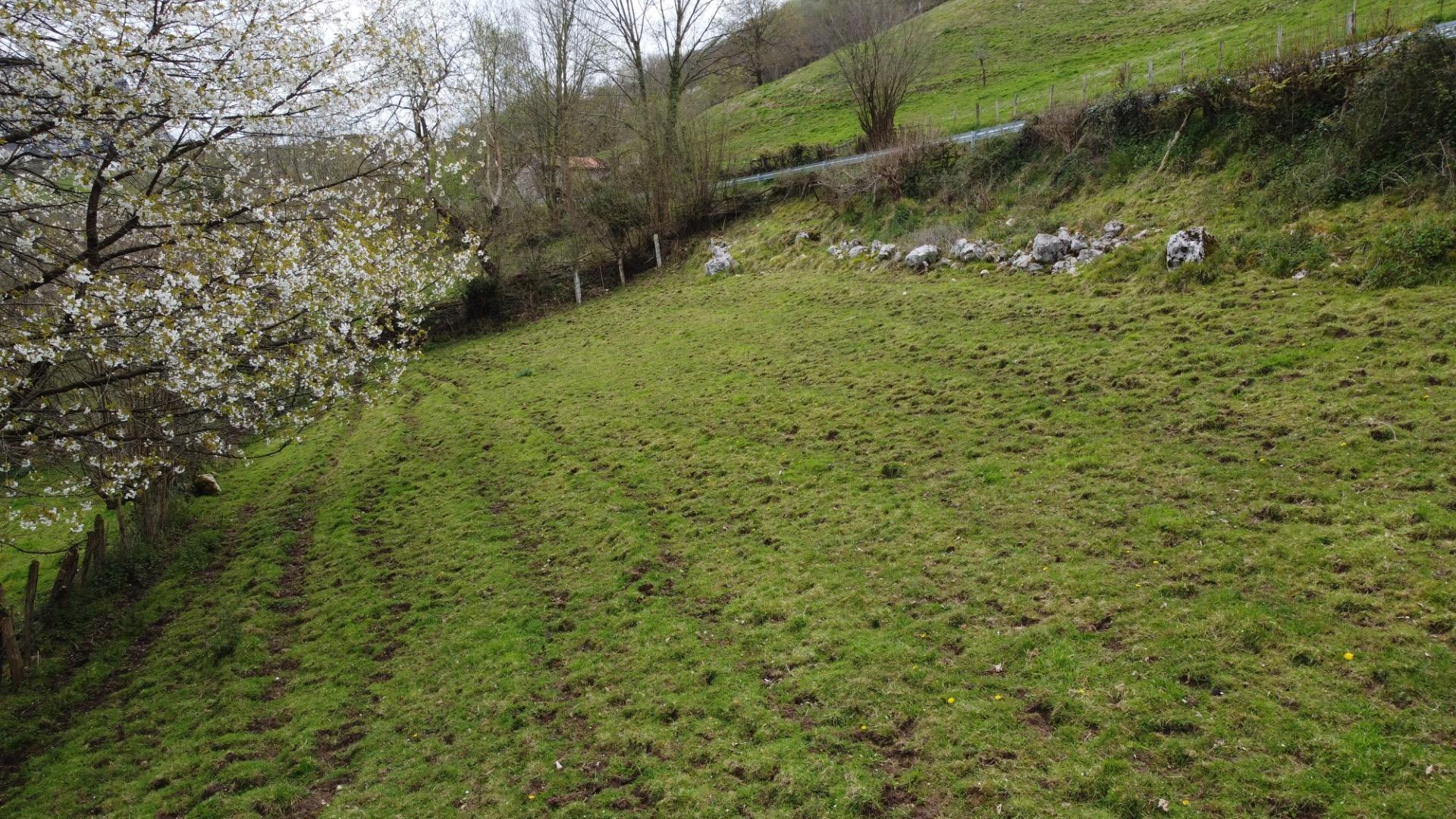 Fincas y solares-Venta-MorcÃ­n-2207740-Foto-19