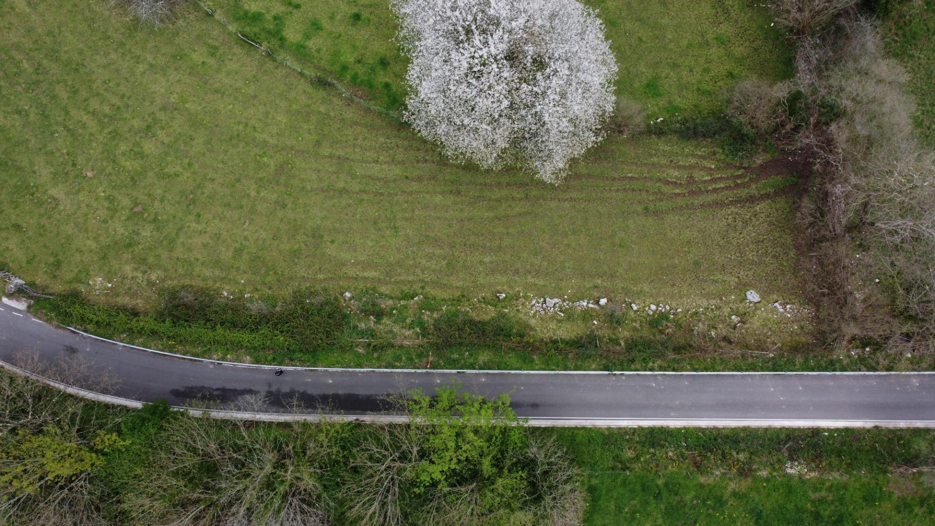 Fincas y solares-Venta-MorcÃ­n-2207740-Foto-25