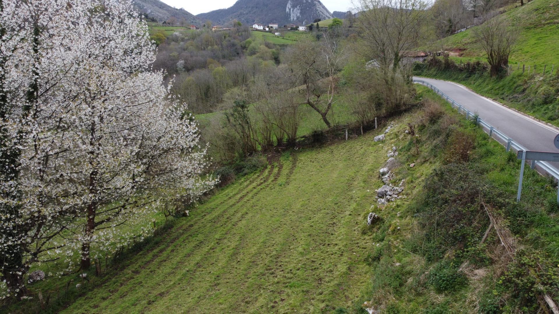 Fincas y solares-Venta-MorcÃ­n-2207740-Foto-22