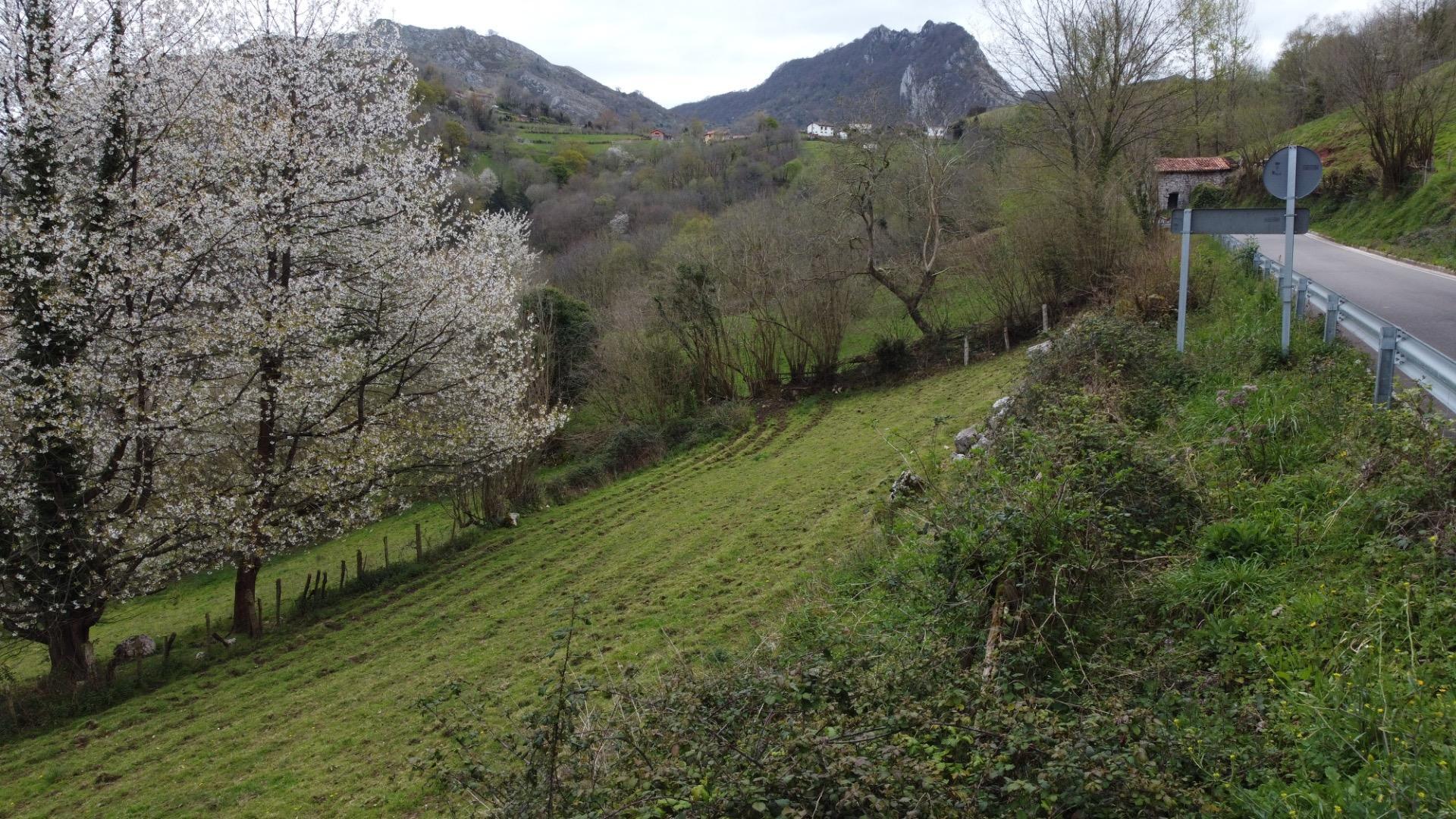 Fincas y solares-Venta-MorcÃ­n-2207740-Foto-23