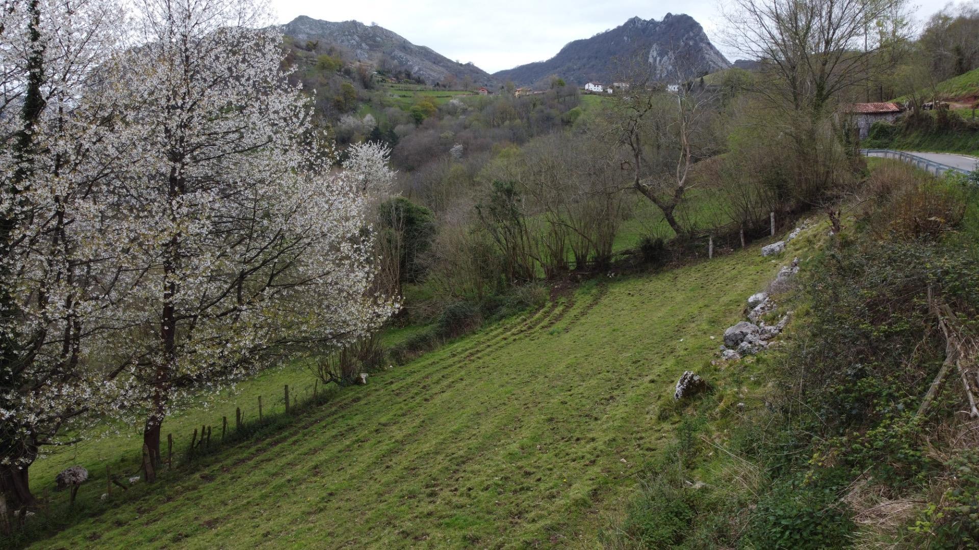 Fincas y solares-Venta-MorcÃ­n-2207740-Foto-24