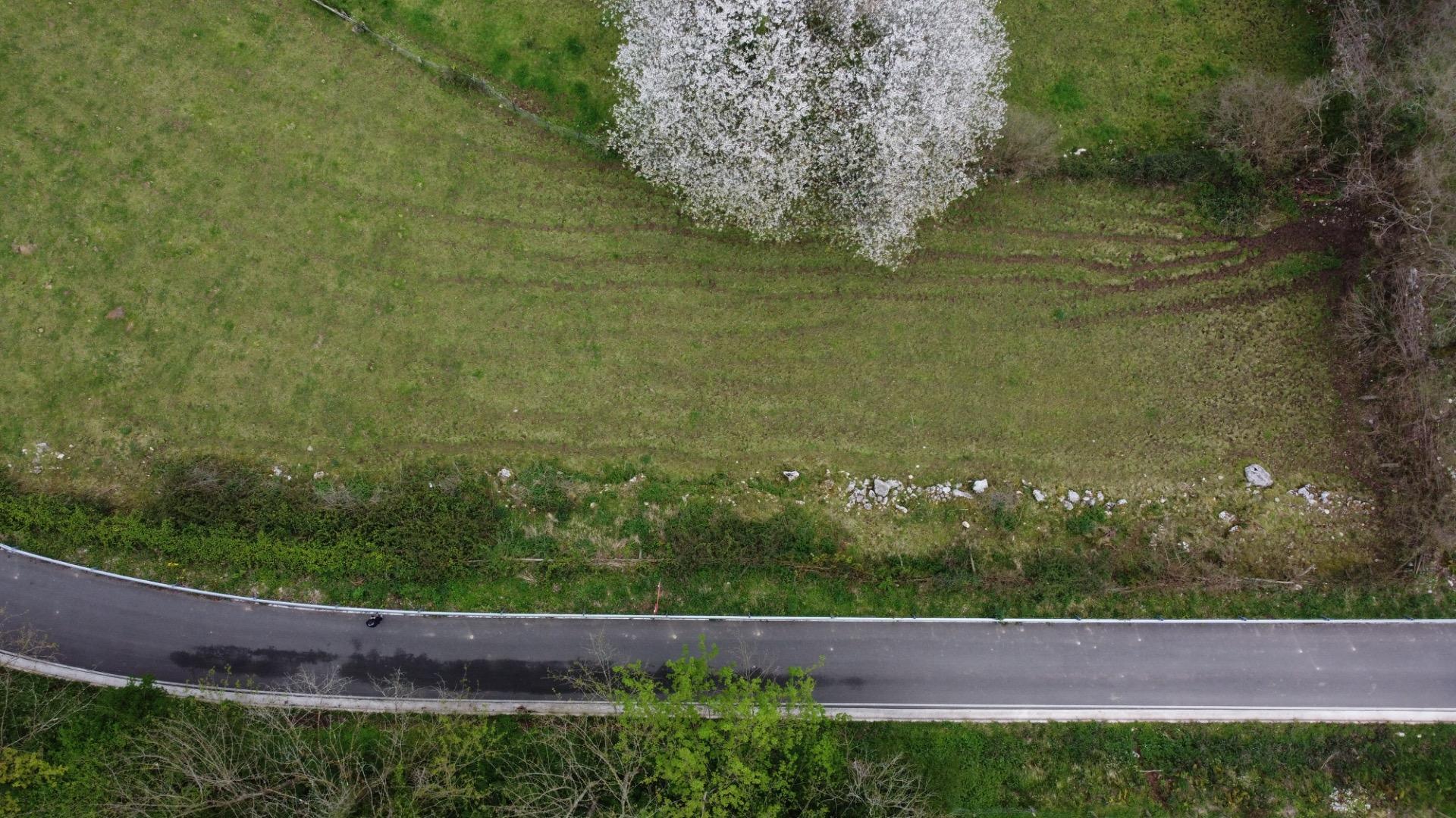 Fincas y solares-Venta-MorcÃ­n-2207740-Foto-26