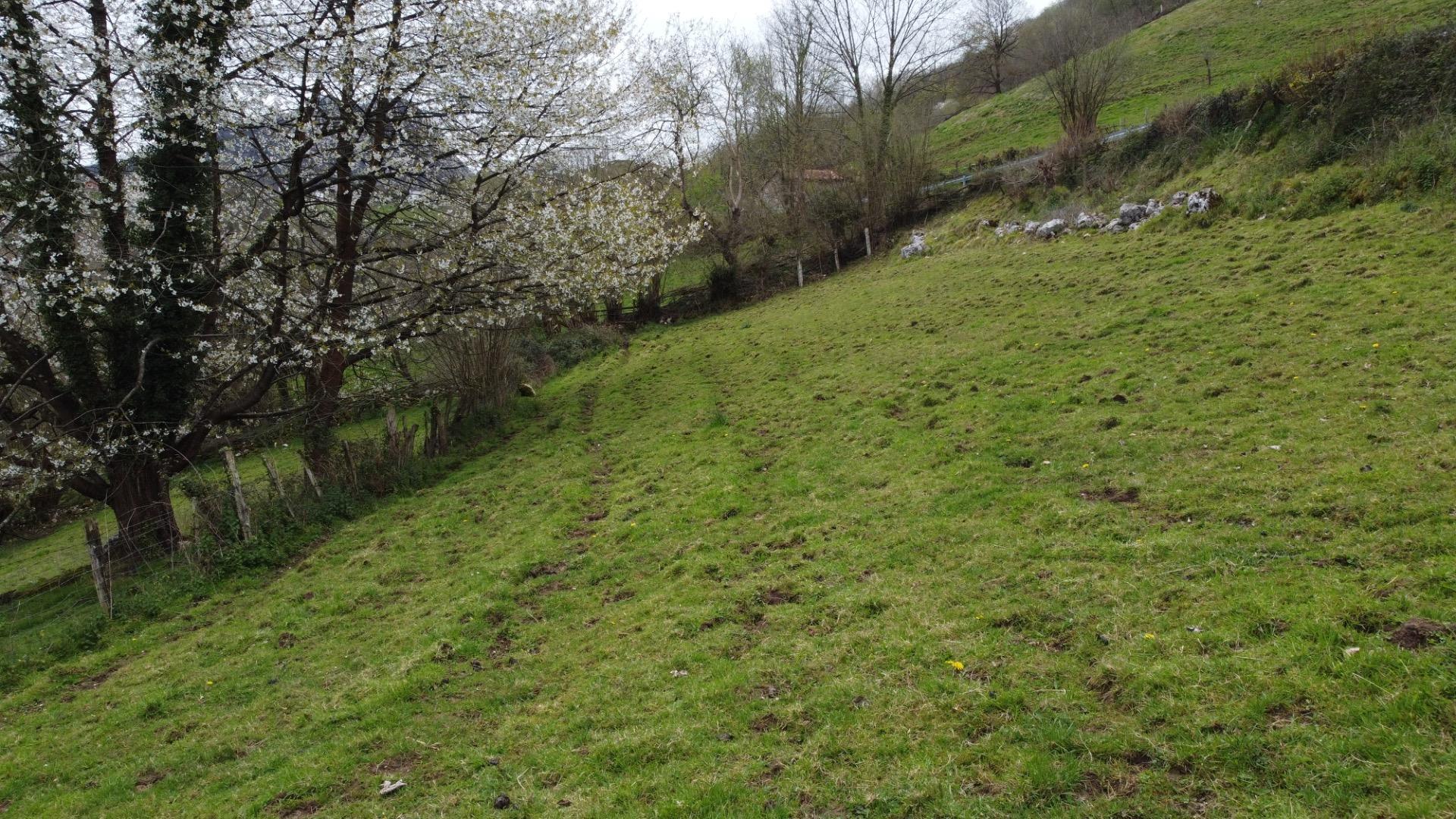 Fincas y solares-Venta-MorcÃ­n-2207740-Foto-28