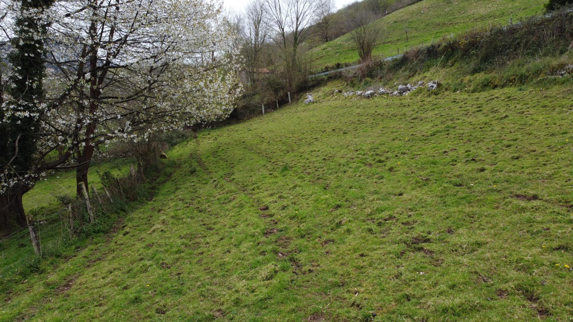 Fincas y solares-Venta-MorcÃ­n-2207740-Foto-27