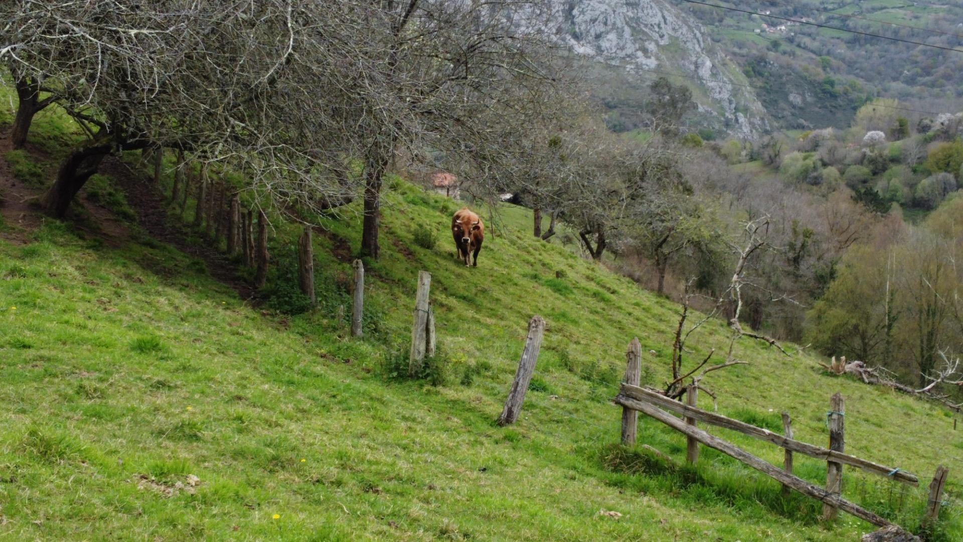 Fincas y solares-Venta-MorcÃ­n-2207740-Foto-29