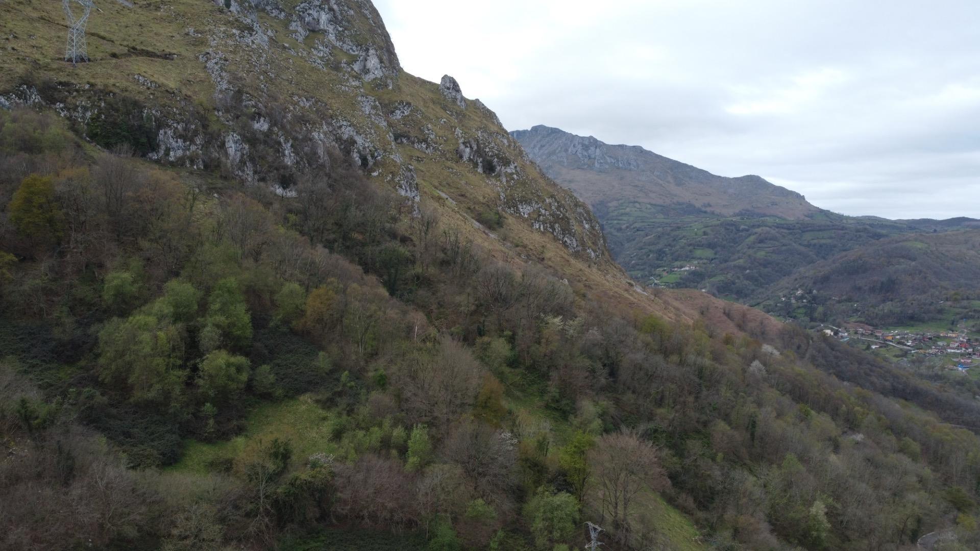 Fincas y solares-Venta-MorcÃ­n-2207740-Foto-35