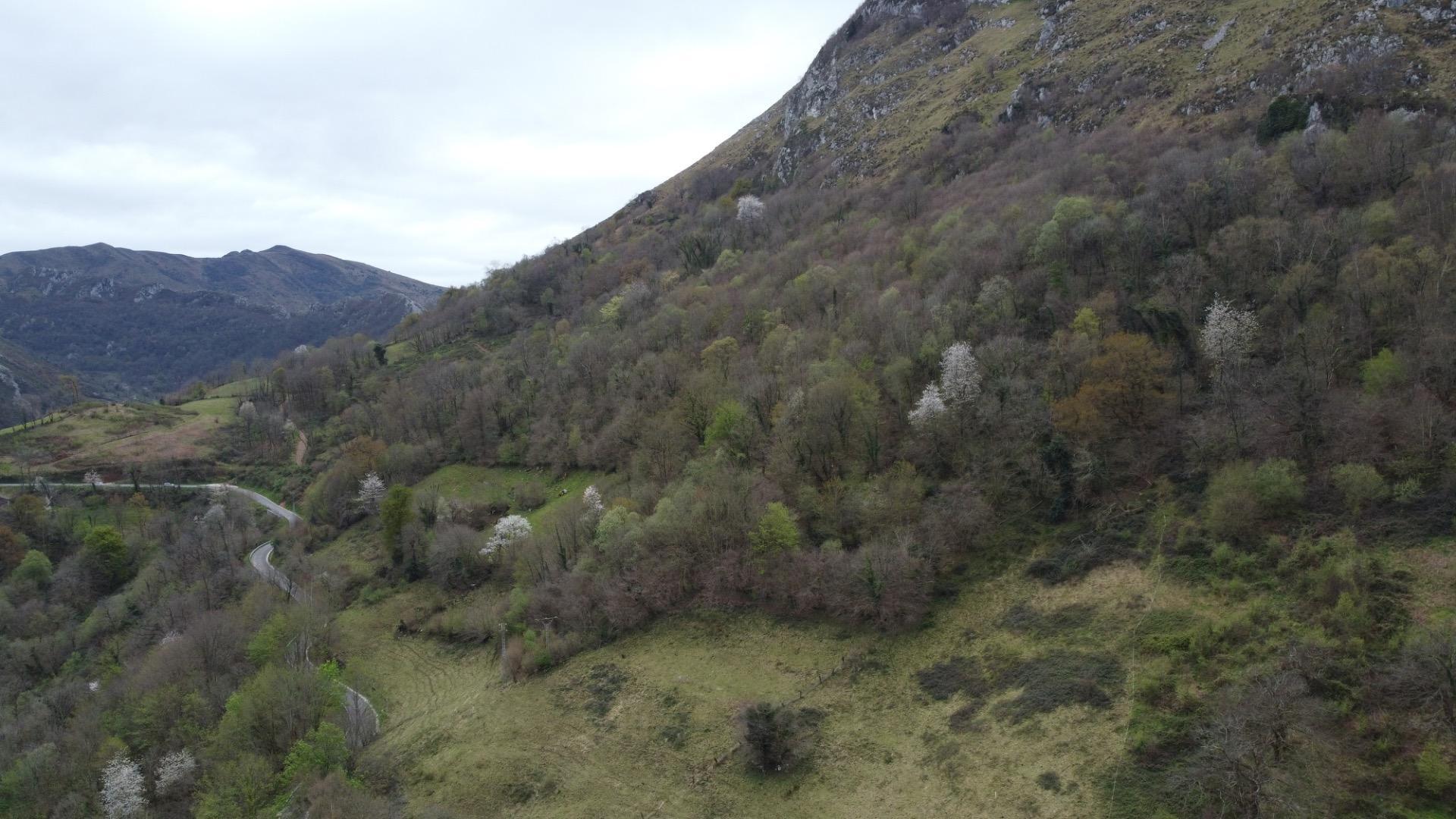 Fincas y solares-Venta-MorcÃ­n-2207740-Foto-36