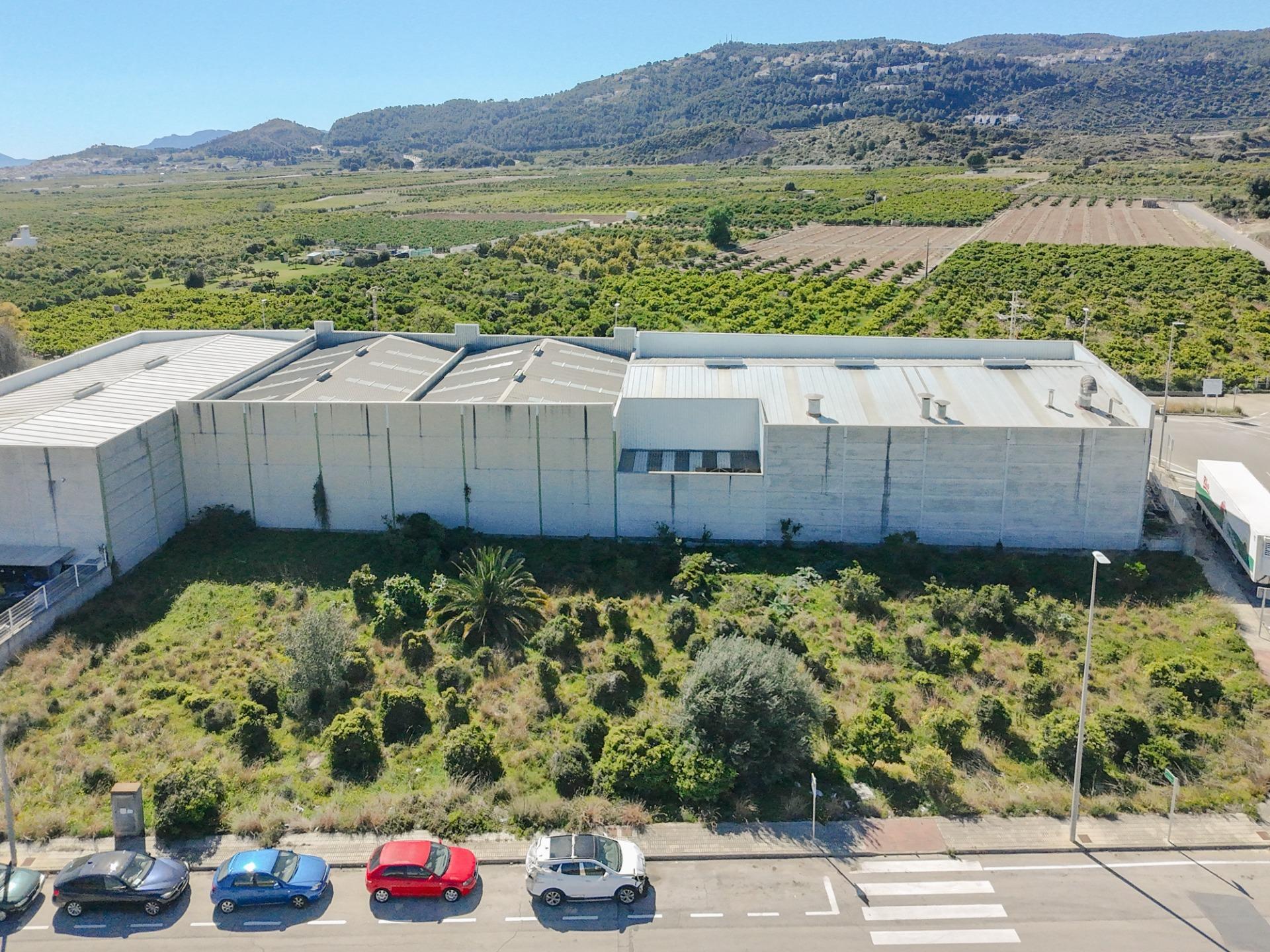 Fincas y solares-Venta-L