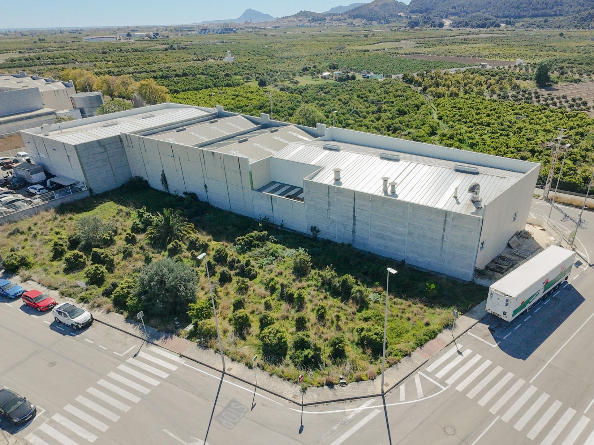 Fincas y solares-Venta-L?Alqueria de la Comtessa-2207743