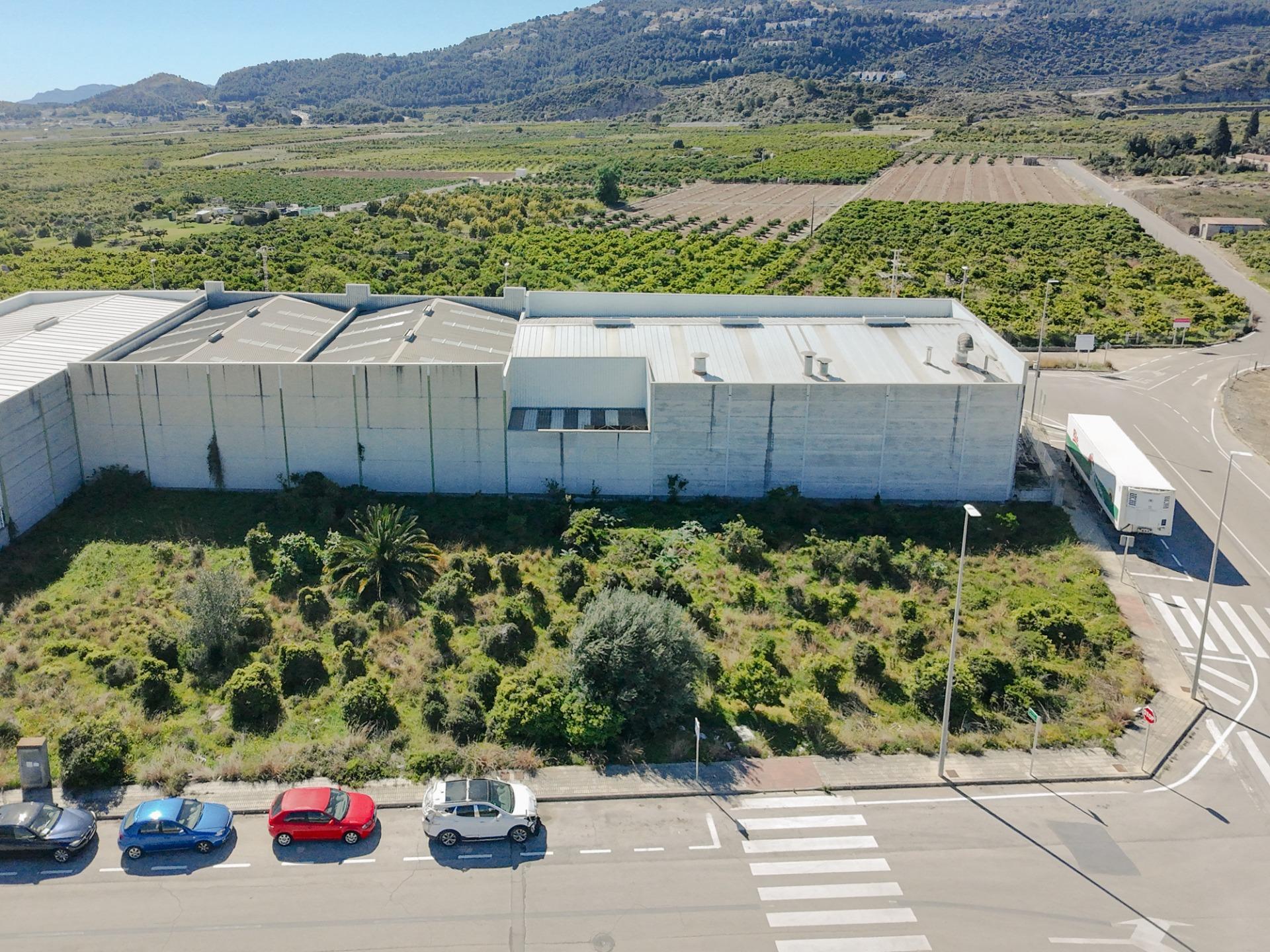 Fincas y solares-Venta-L