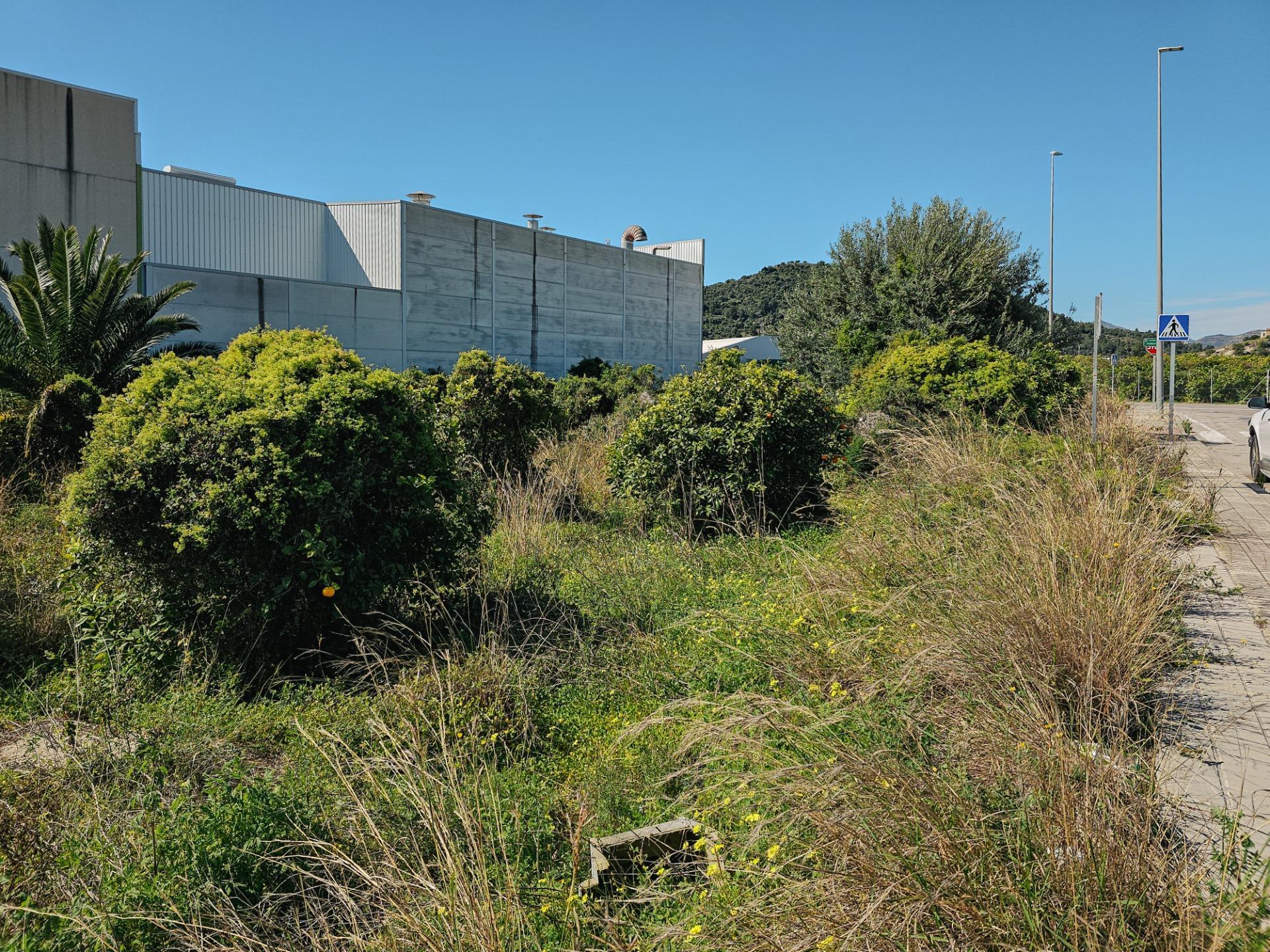 Fincas y solares-Venta-L