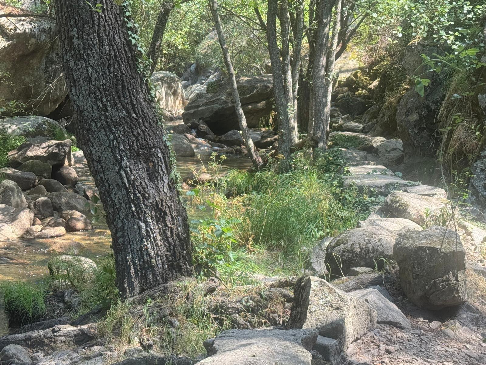 ^^EN VENTA ESTUPENDO CHALET ADOSADO TOTALMENTE REFORMADO EN LANZAHITA, ÁVILA^**^ Descubre esta magnífica vivienda donde podrás disfrutar de la tranquilidad, la naturaleza y la calidad de vida que o