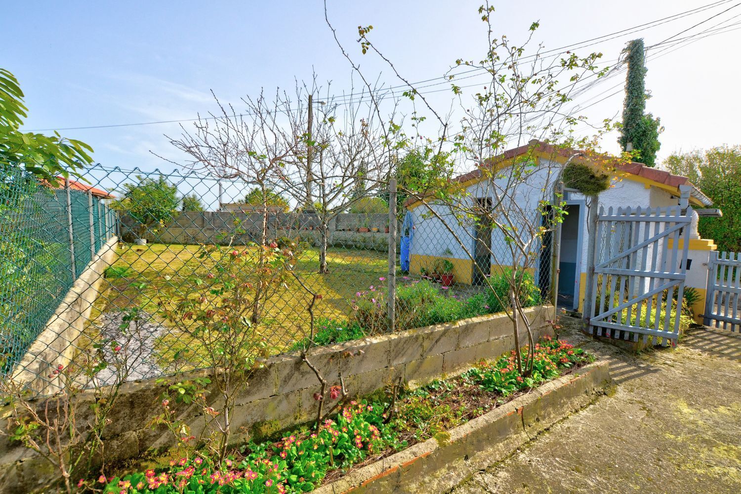 Casas o chalets-Venta-Villaviciosa-2208193-Foto-2