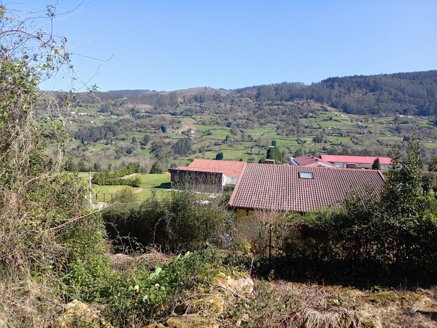 Fincas y solares-Venta-GijÃ³n-2208202-Foto-4