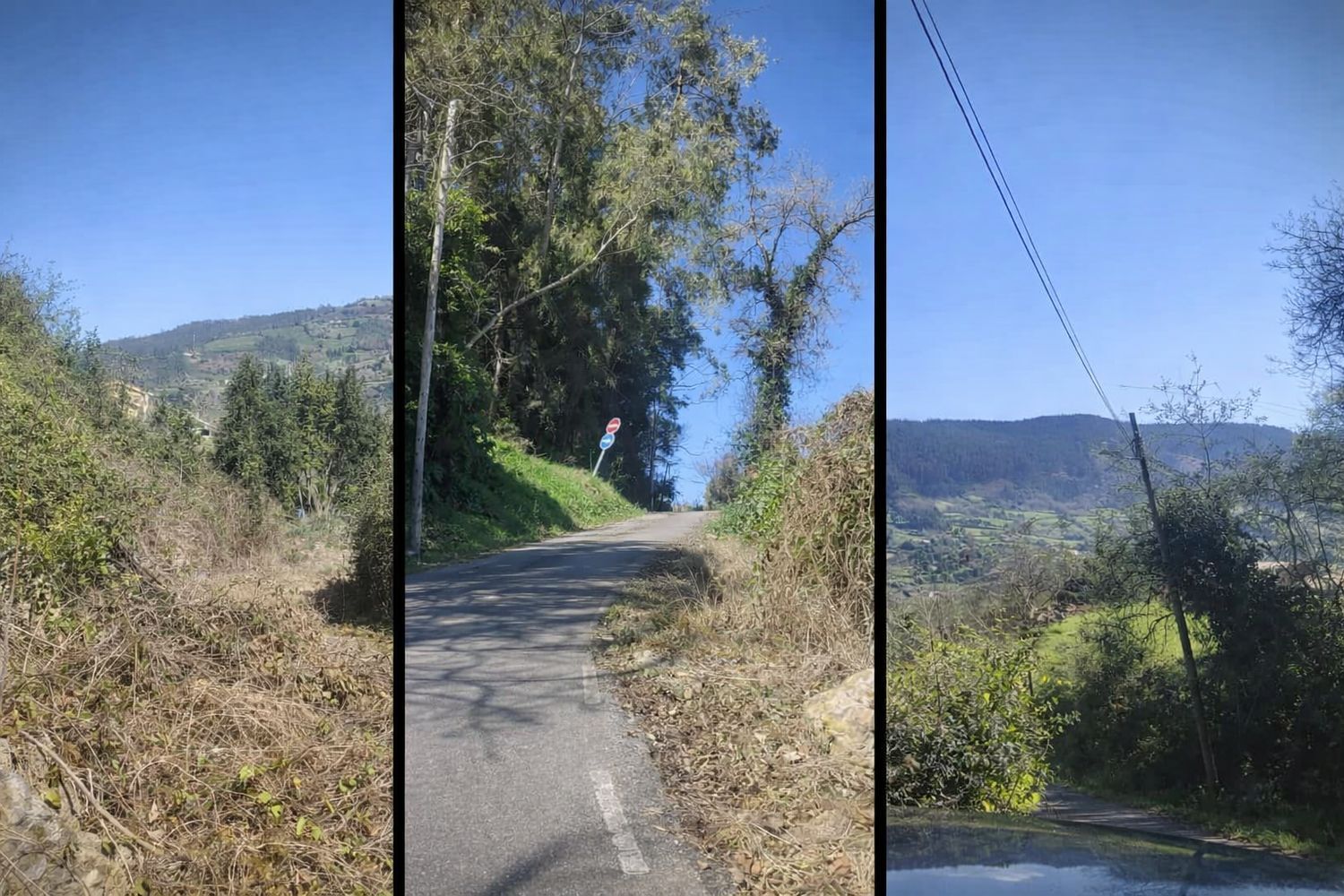 Fincas y solares-Venta-GijÃ³n-2208202-Foto-13