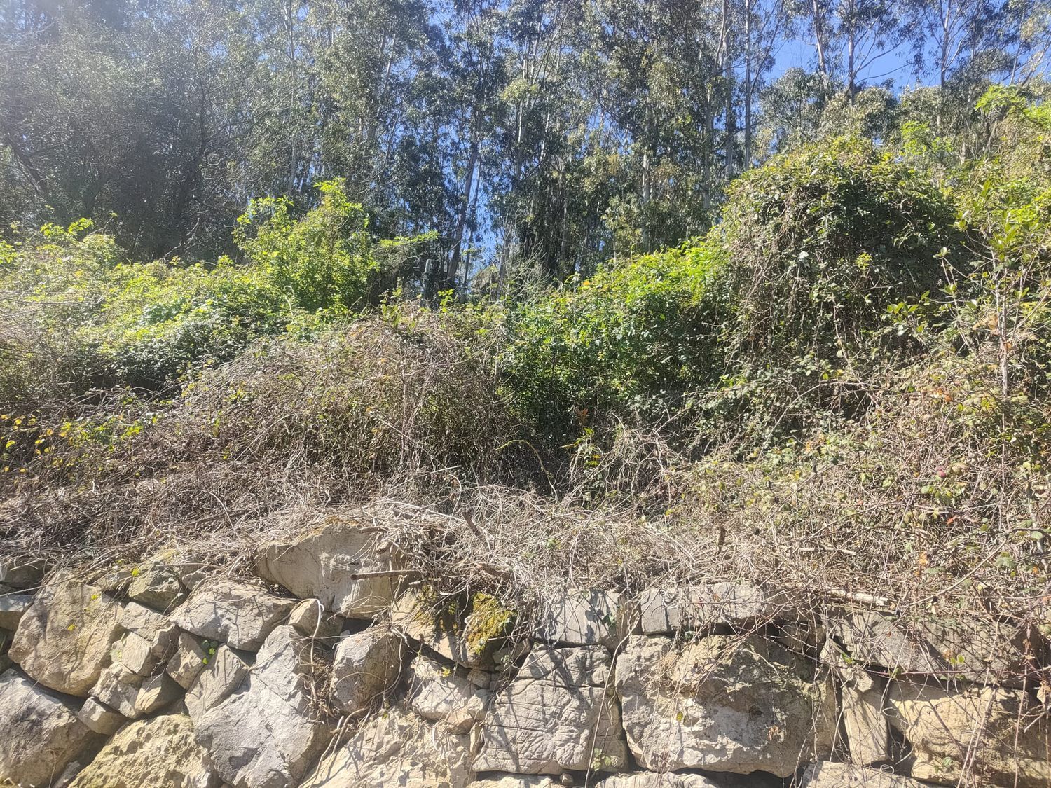 Fincas y solares-Venta-GijÃ³n-2208202-Foto-12