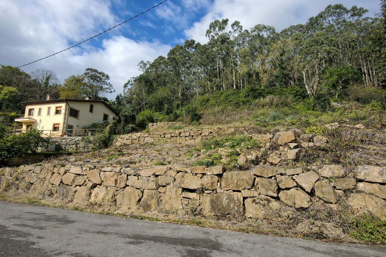 Fincas y solares-Venta-GijÃ³n-2208202-Foto-14