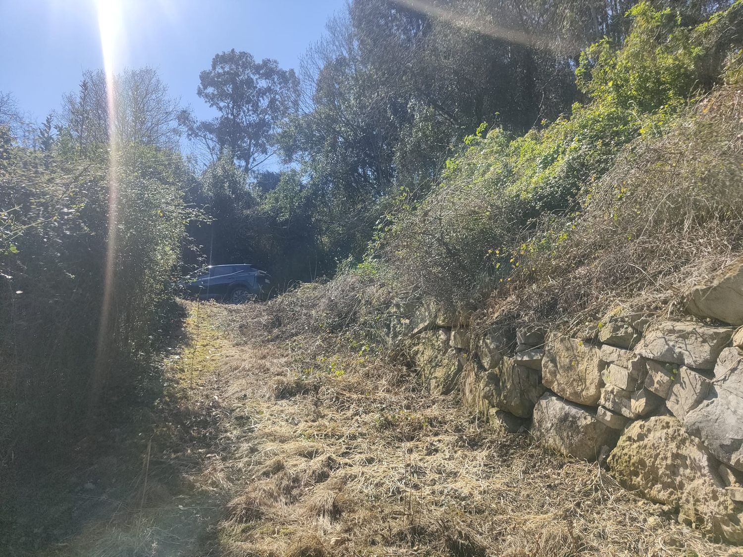 Fincas y solares-Venta-GijÃ³n-2208202-Foto-15