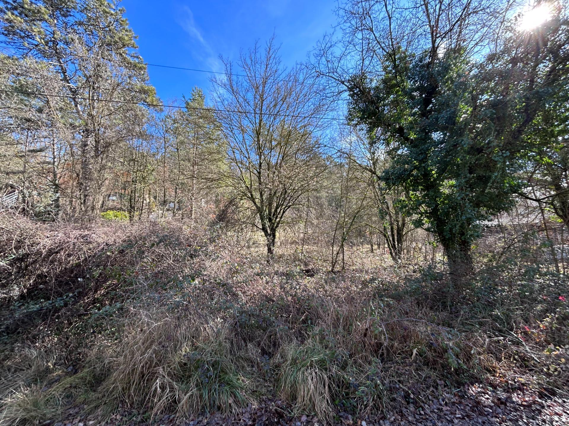 Fincas y solares-Venta-MoiÃ -2208208-Foto-3