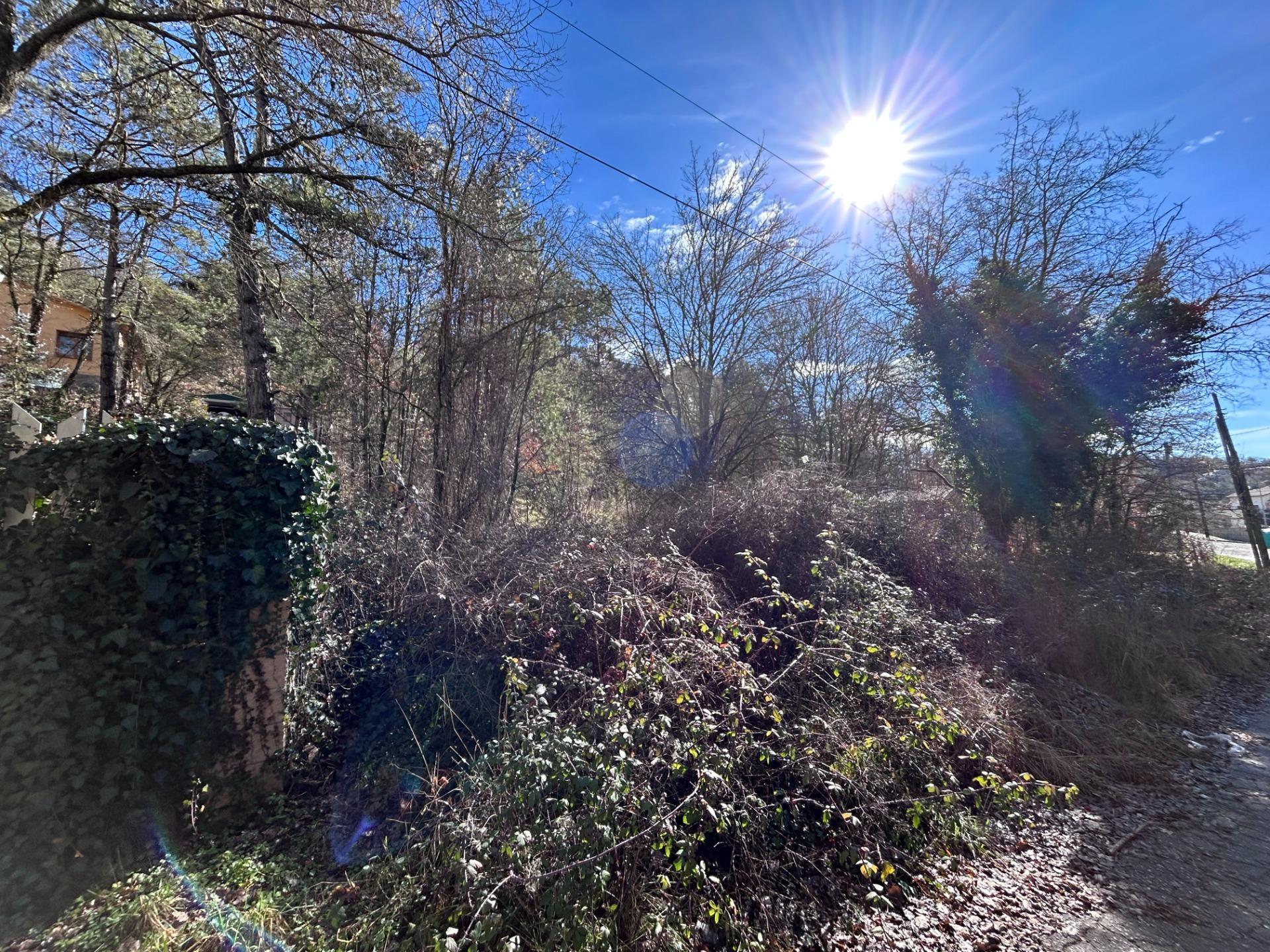 Fincas y solares-Venta-MoiÃ -2208208-Foto-4