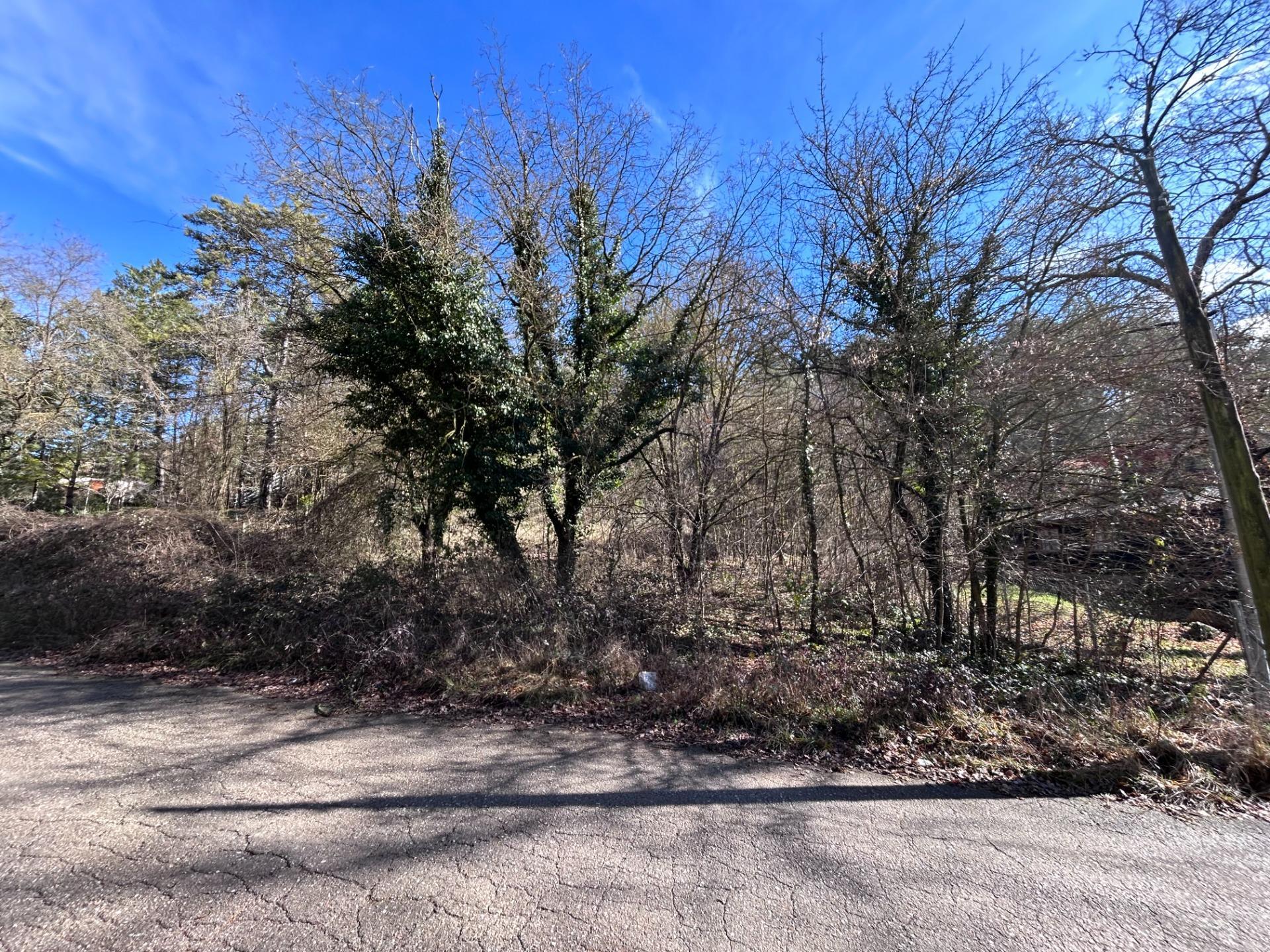 Fincas y solares-Venta-MoiÃ -2208208-Foto-2