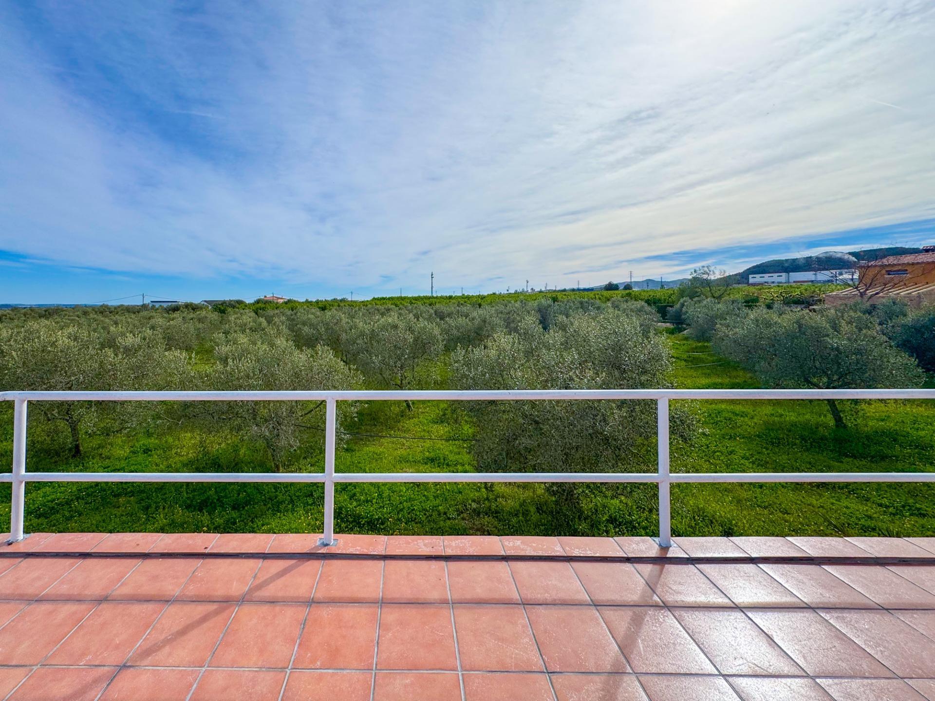 Casas o chalets-Venta-Alcover-2207749-Foto-21