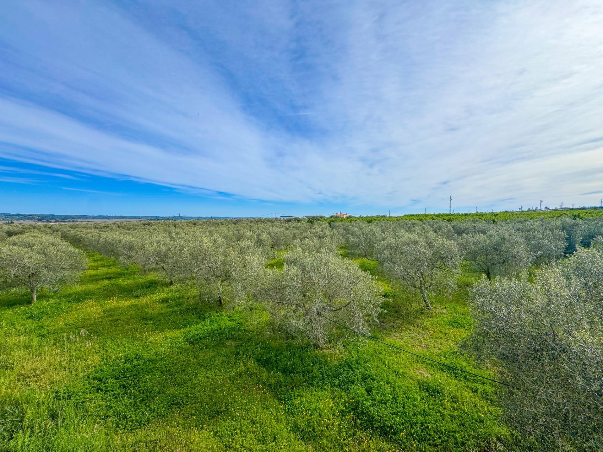 Casas o chalets-Venta-Alcover-2207749-Foto-22