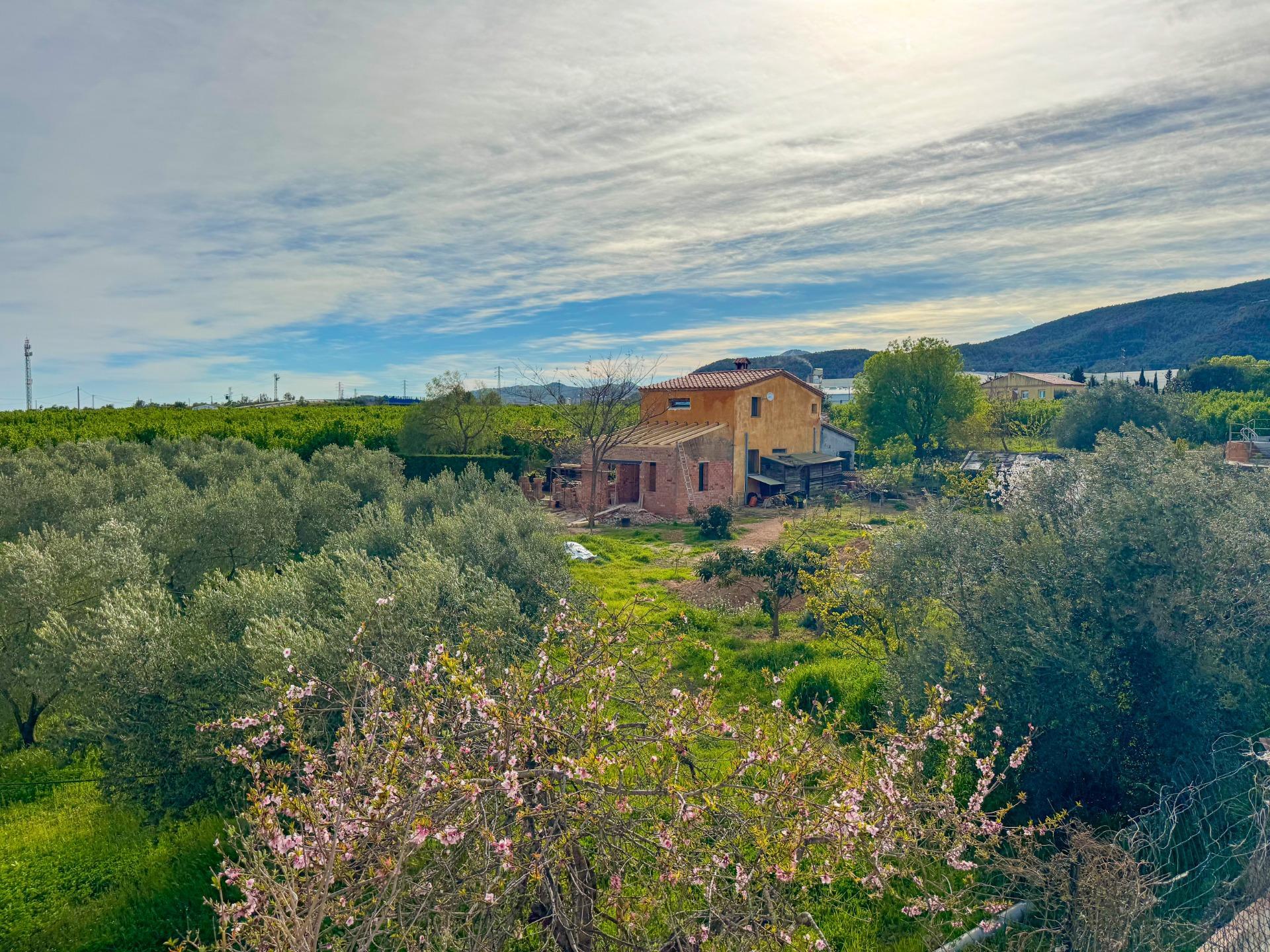 Casas o chalets-Venta-Alcover-2207749-Foto-89