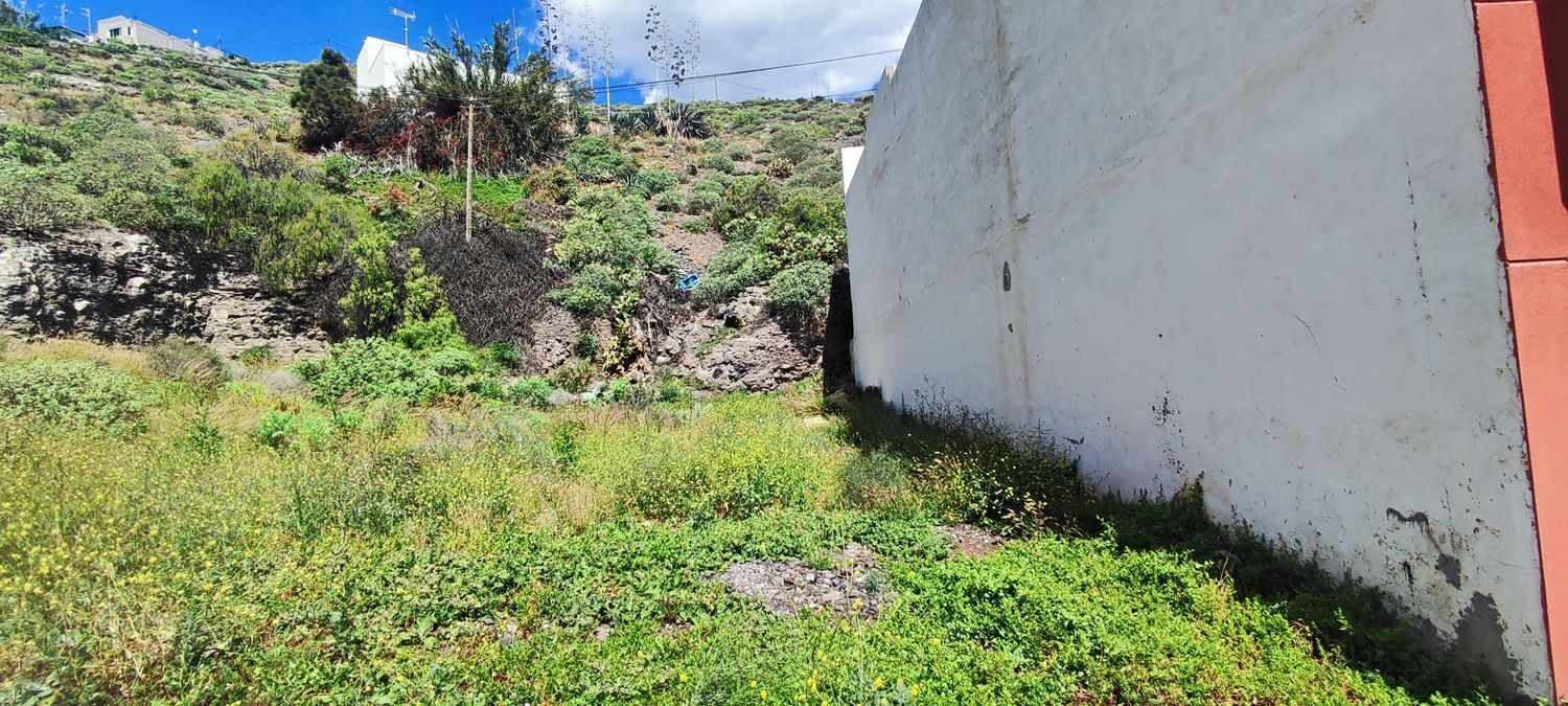Fincas y solares-Venta-Las Palmas de Gran Canaria-2208214-Foto-3