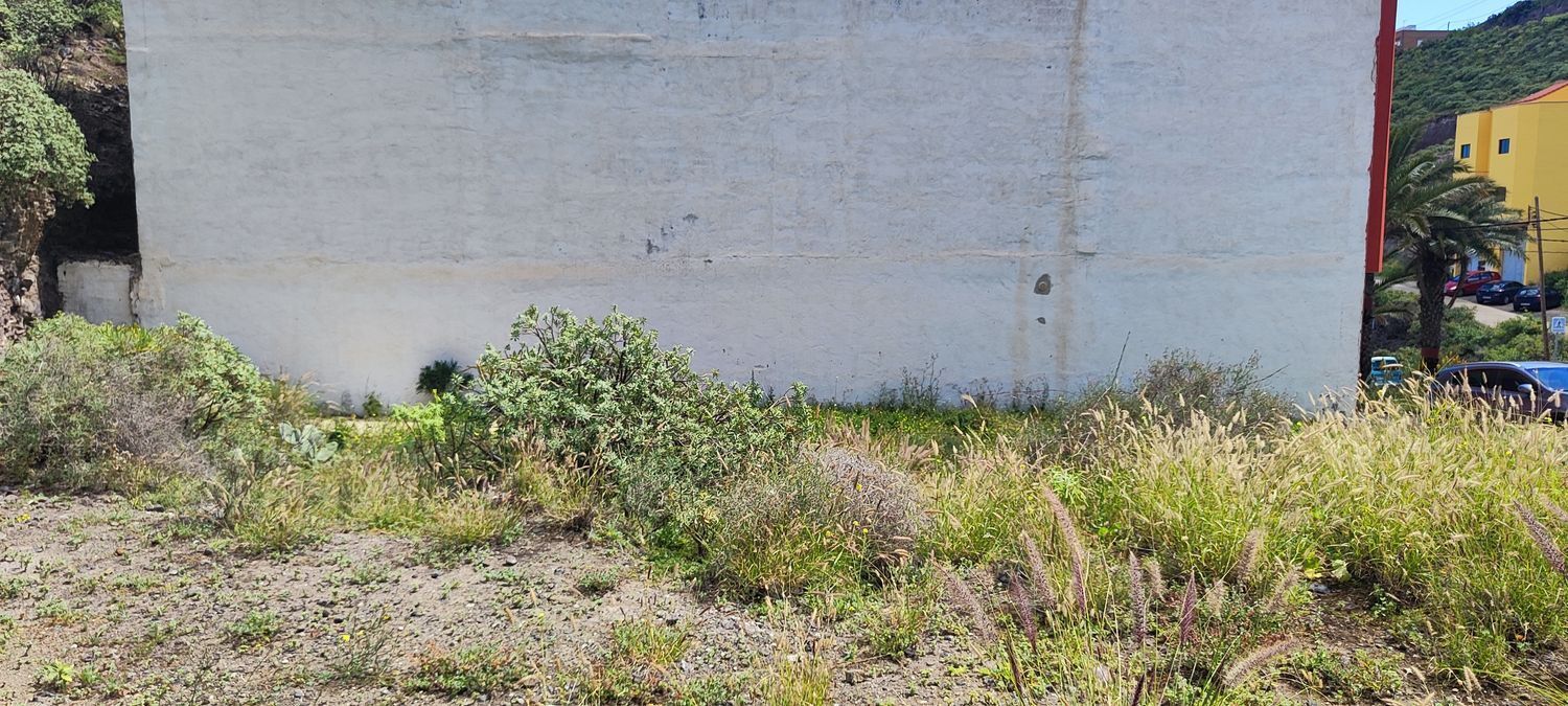 Fincas y solares-Venta-Las Palmas de Gran Canaria-2208214-Foto-6