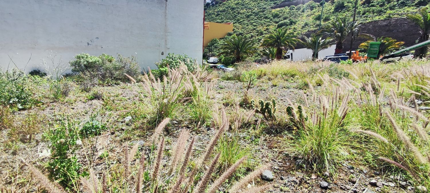 Fincas y solares-Venta-Las Palmas de Gran Canaria-2208214-Foto-7