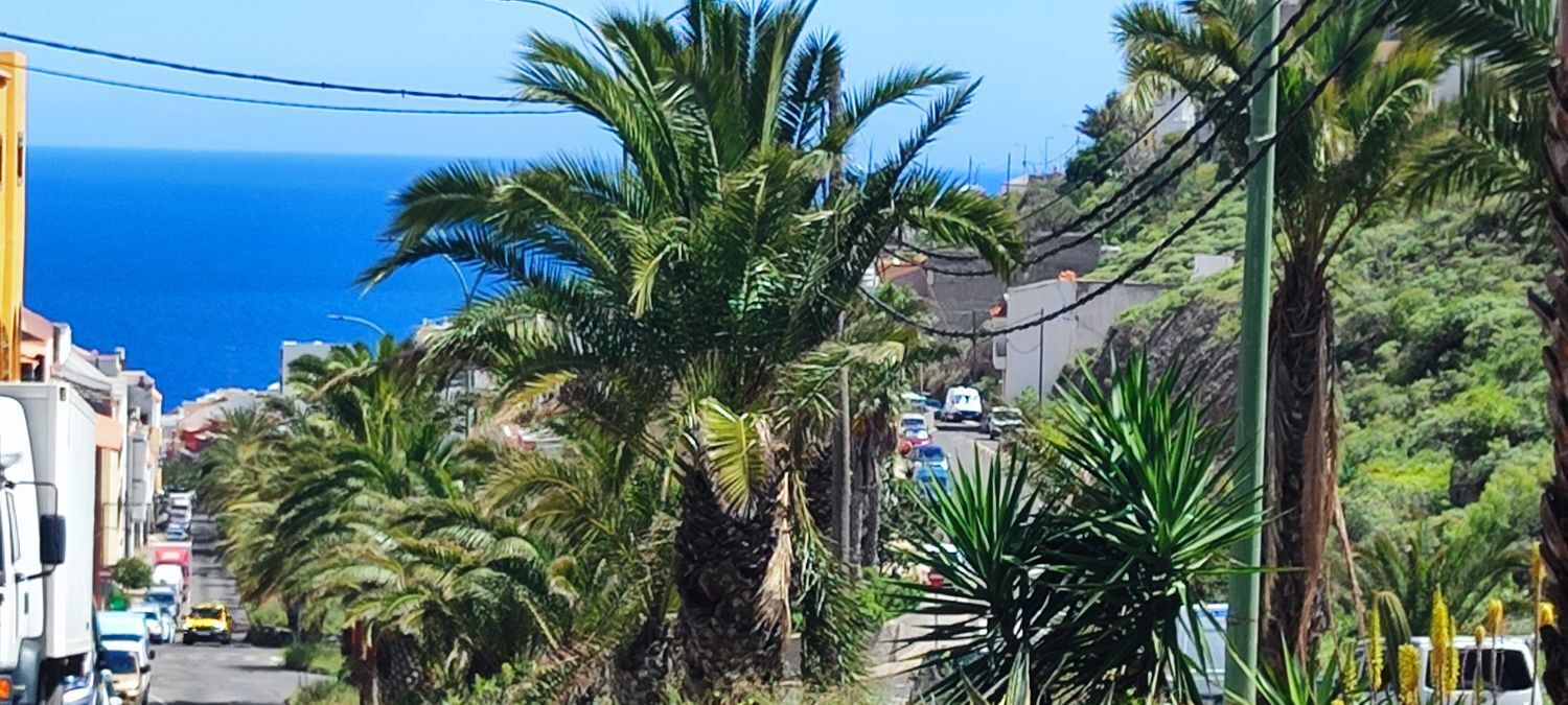 Fincas y solares-Venta-Las Palmas de Gran Canaria-2208214-Foto-10