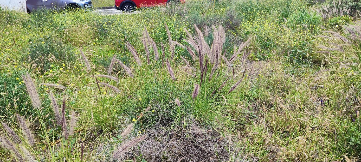 Fincas y solares-Venta-Las Palmas de Gran Canaria-2208214-Foto-18