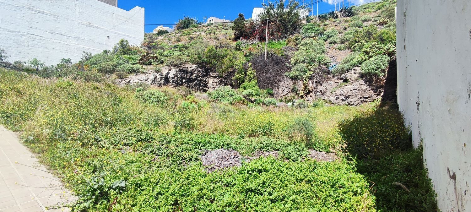 Fincas y solares-Venta-Las Palmas de Gran Canaria-2208214-Foto-21