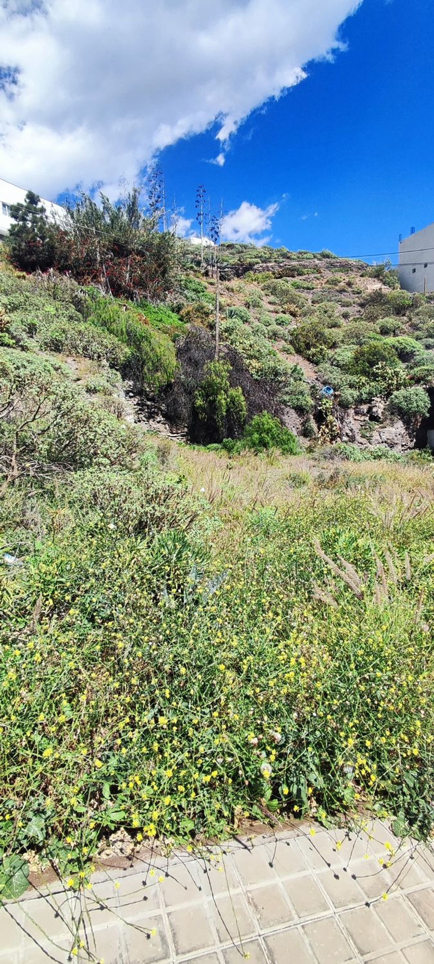 Fincas y solares-Venta-Las Palmas de Gran Canaria-2208214-Foto-22