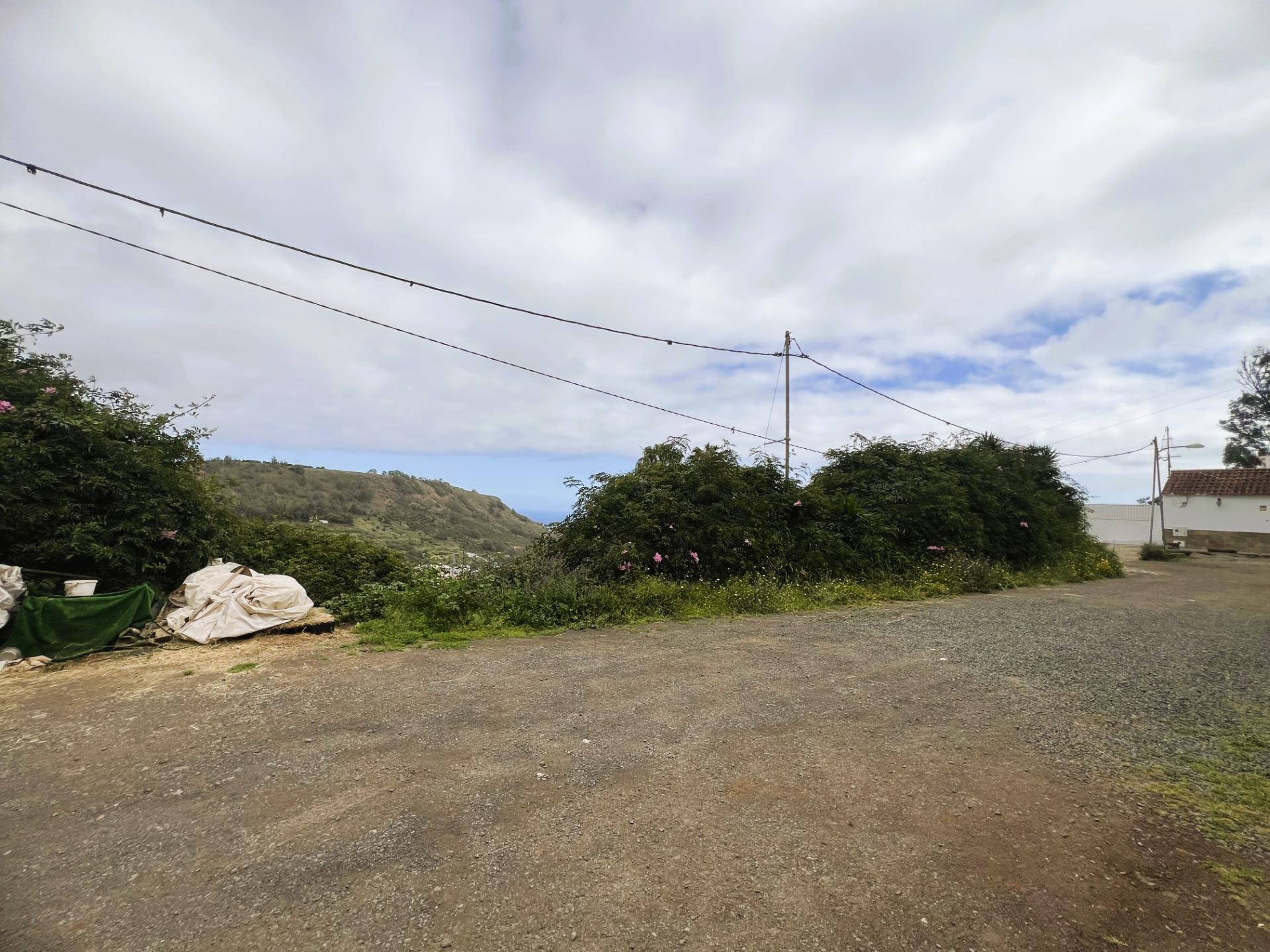 Fincas y solares-Venta-Arucas-2208823-Foto-4